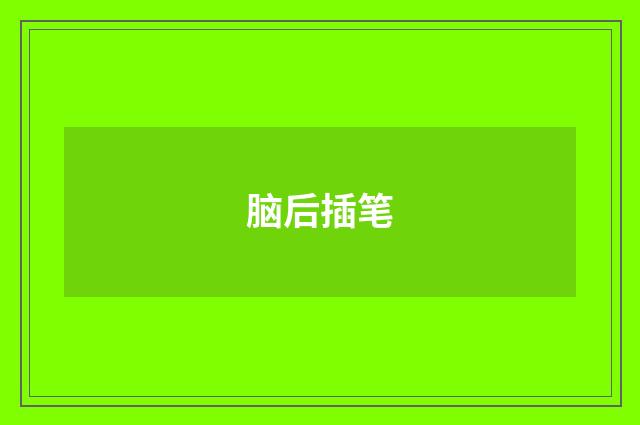 脑后插笔