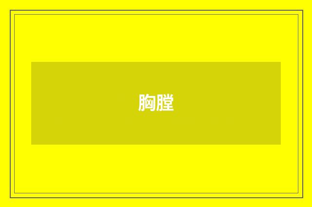 胸膛