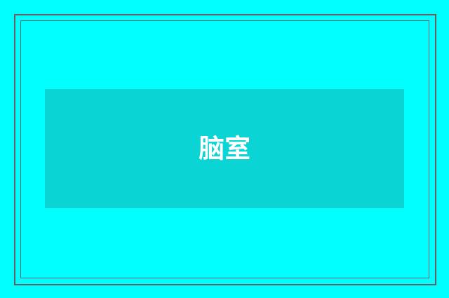 脑室