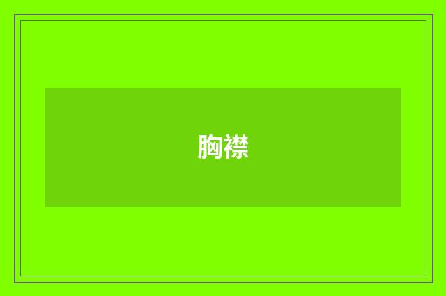 胸襟