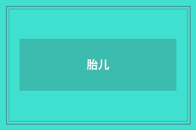 胎儿