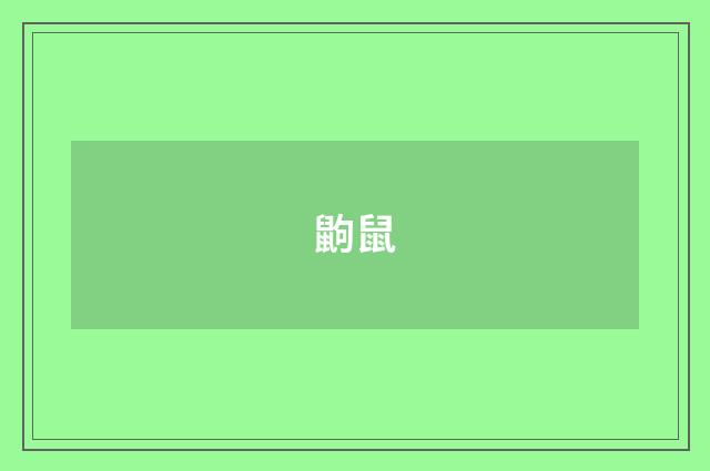 鼩鼠