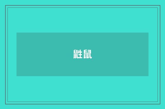 鼪鼠
