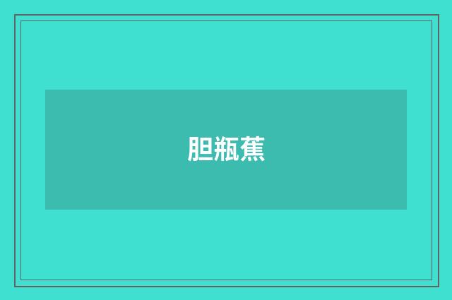 胆瓶蕉