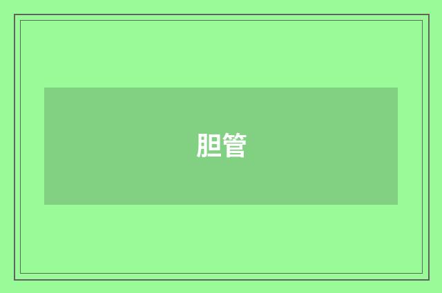 胆管