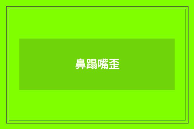 鼻蹋嘴歪