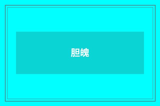 胆魄