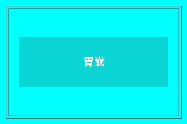 胃囊