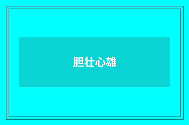 胆壮心雄