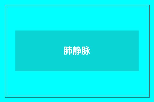肺静脉