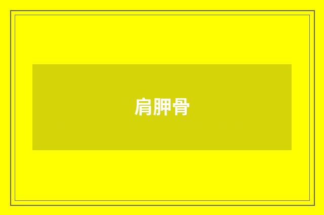 肩胛骨