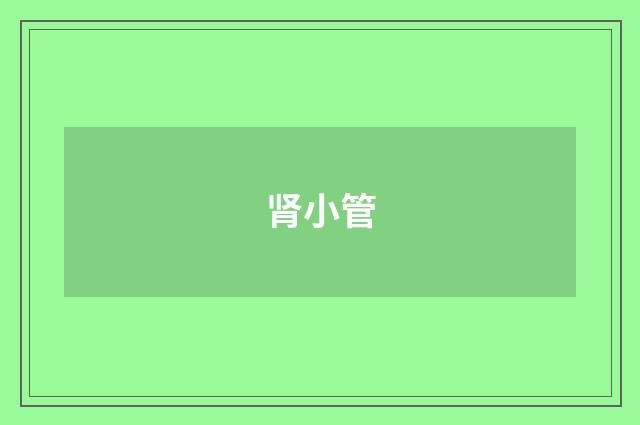 肾小管