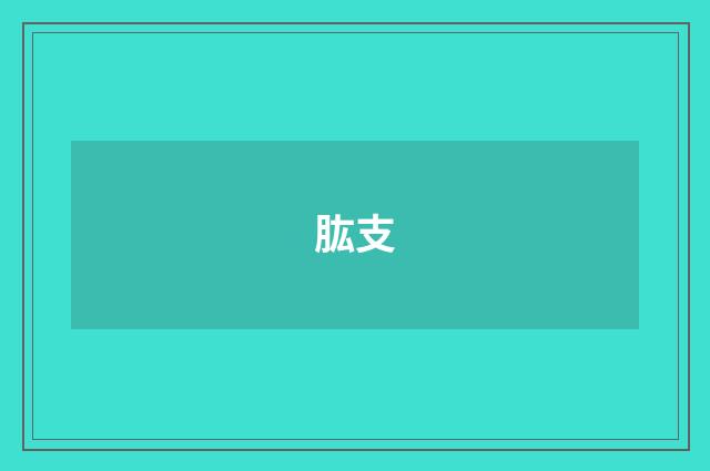 肱支