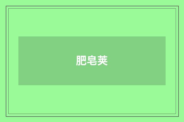 肥皂荚