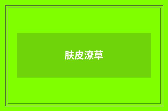 肤皮潦草