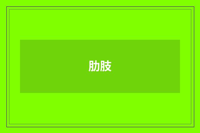肋肢