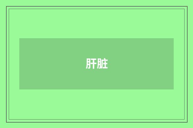 肝脏