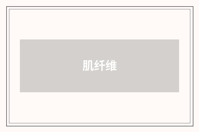 肌纤维