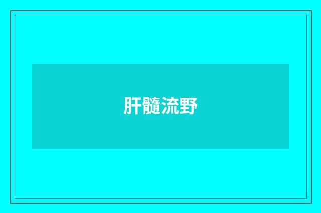 肝髓流野