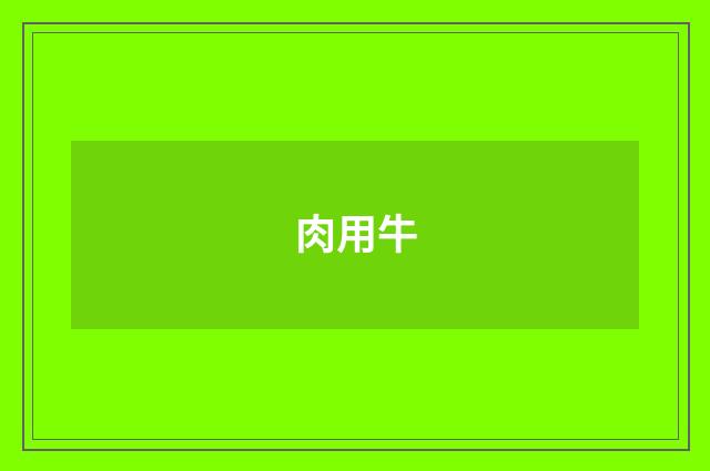 肉用牛
