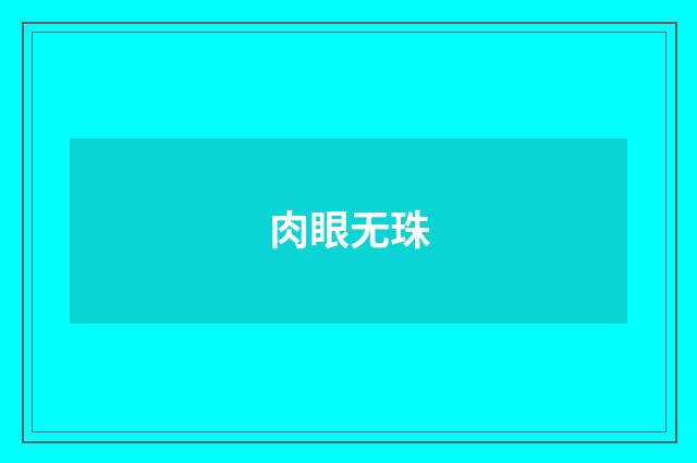 肉眼无珠