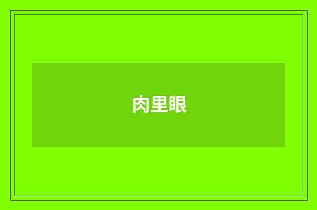 肉里眼