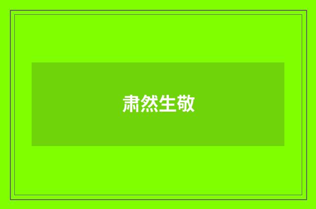 肃然生敬