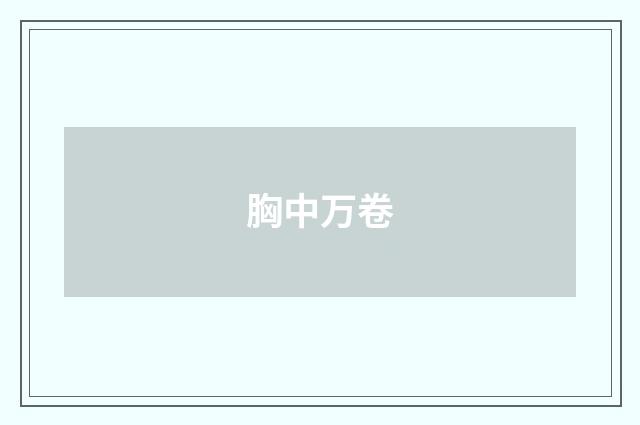 胸中万卷