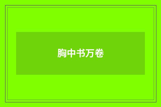 胸中书万卷
