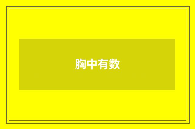 胸中有数