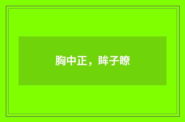胸中正，眸子瞭