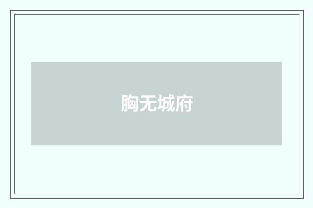 胸无城府