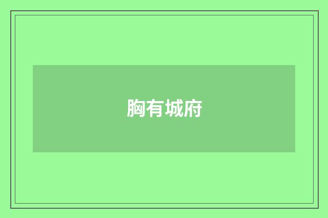 胸有城府