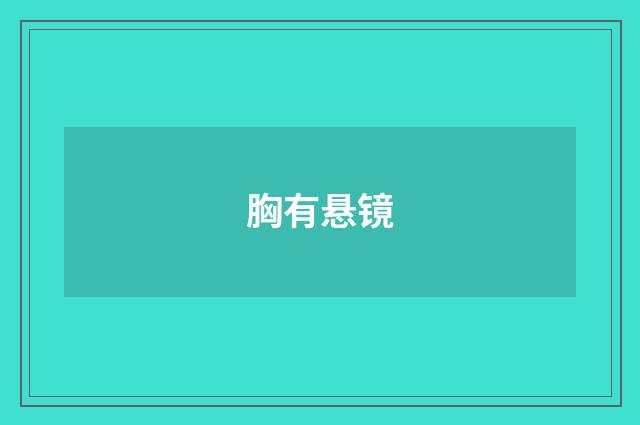 胸有悬镜