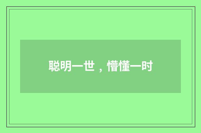 聪明一世﹐懵懂一时