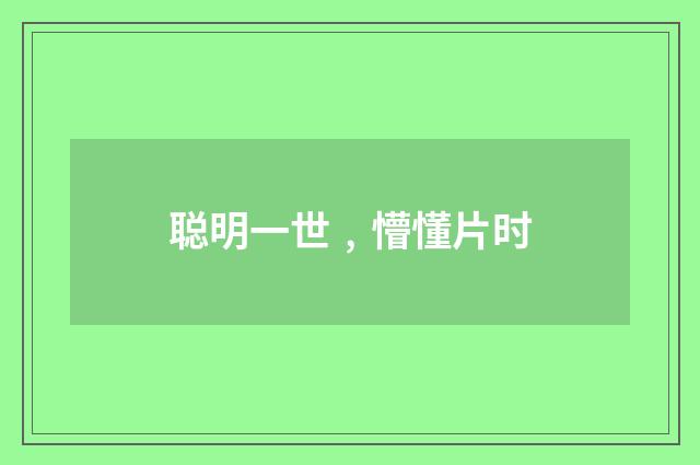 聪明一世﹐懵懂片时