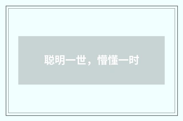 聪明一世，懵懂一时