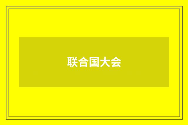 联合国大会