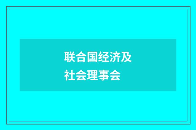 联合国经济及社会理事会