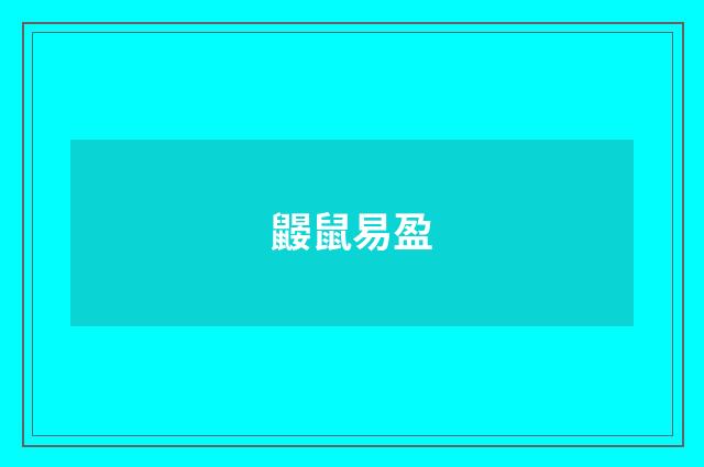 鼹鼠易盈