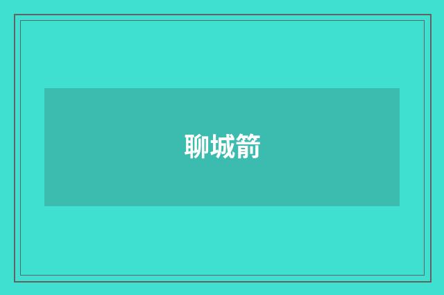 聊城箭
