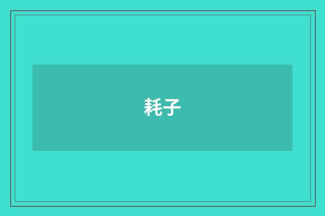 耗子