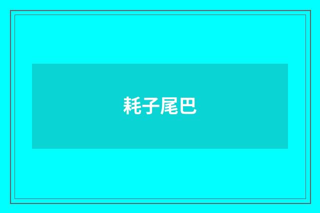 耗子尾巴