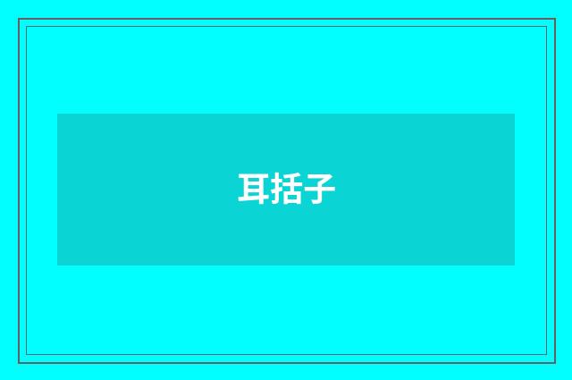 耳括子