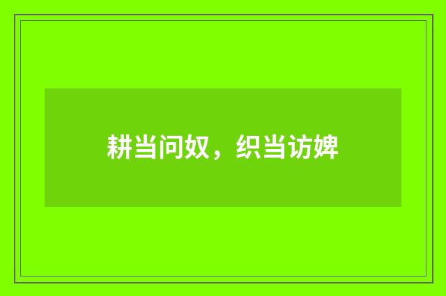 耕当问奴，织当访婢