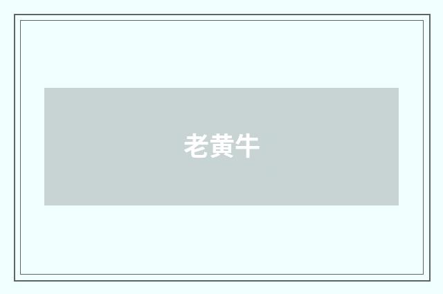 老黄牛