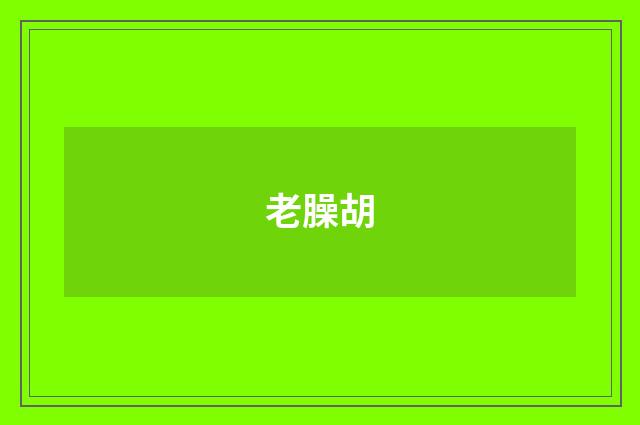 老臊胡