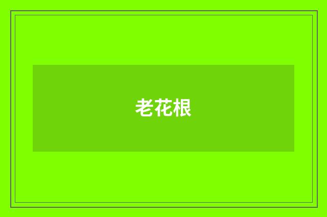 老花根