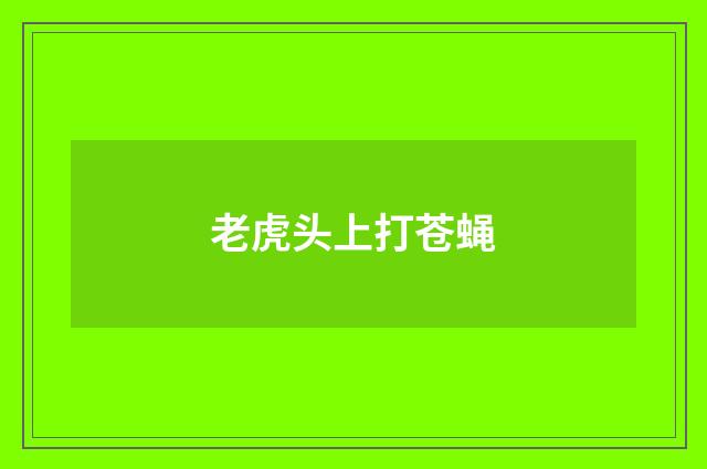老虎头上打苍蝇