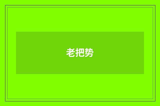 老把势